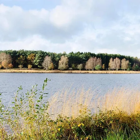 Apartmán Olga Behrends *